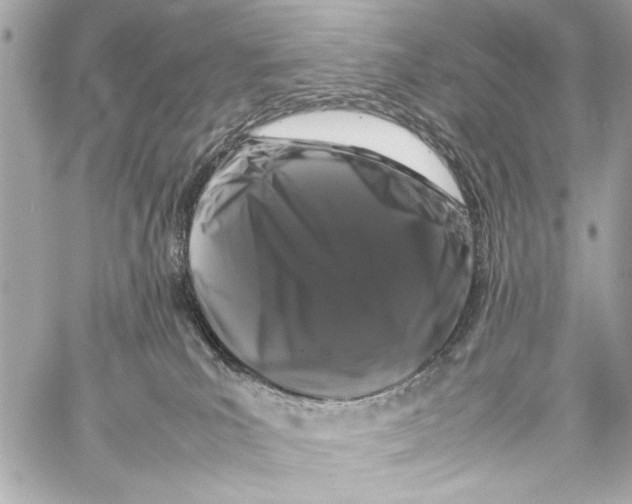 X0000057060039200510071418