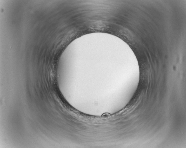 X0000057060040200510071418