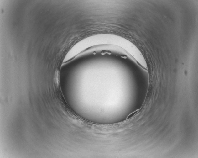 X0000057060041200510071418