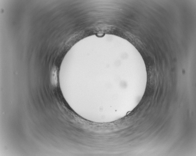 X0000057060042200510071418