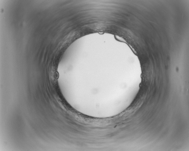 X0000057060044200510071418