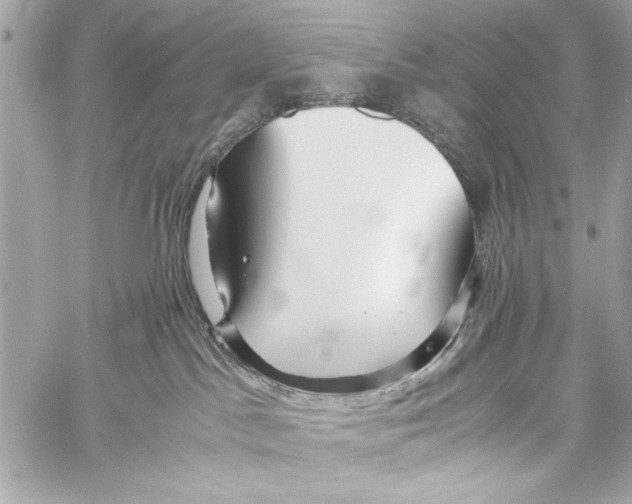 X0000057060045200510071418