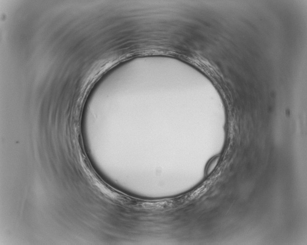 X0000057060049200510071417