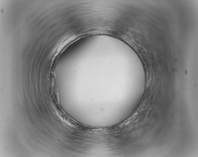 X0000057060050200510071417