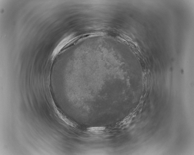 X0000057060051200510071417