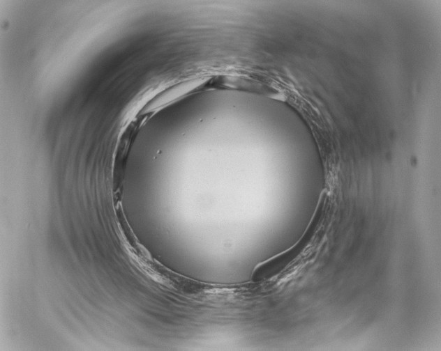 X0000057060052200510071417