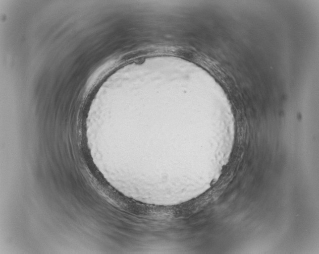 X0000057060053200510071417