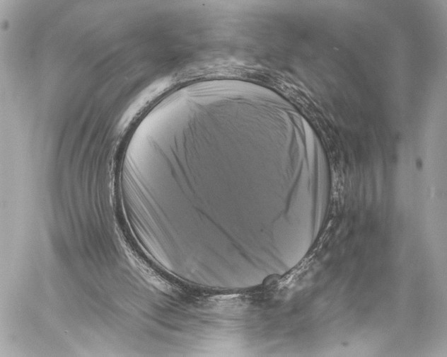 X0000057060054200510071417