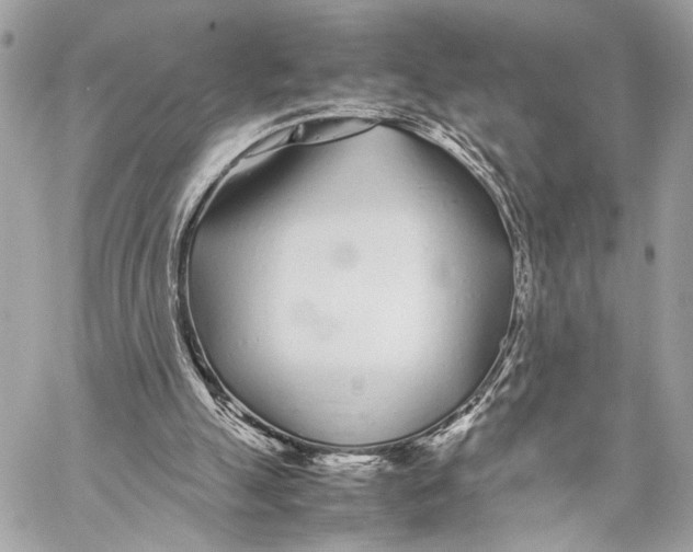 X0000057060055200510071417