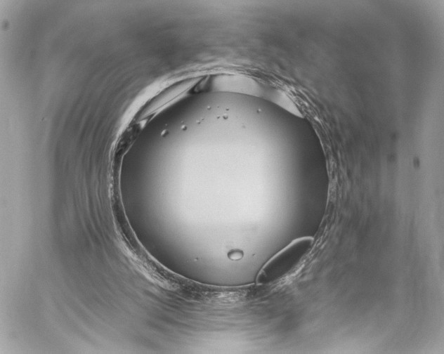 X0000057060056200510071417