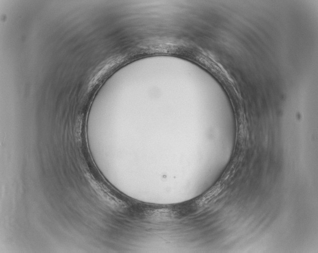 X0000057060058200510071417