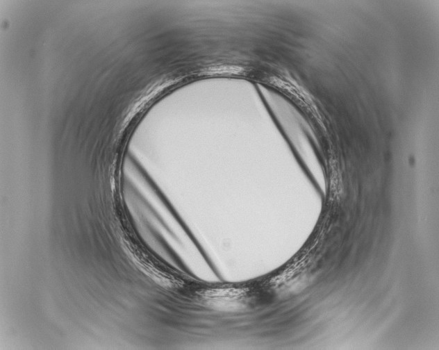 X0000057060059200510071417