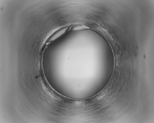 X0000057060060200510071417