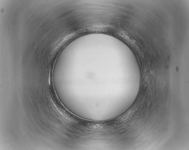 X0000057060062200510071417