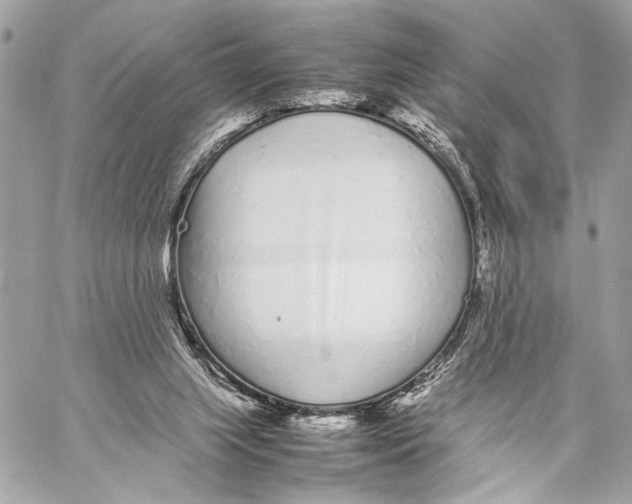 X0000057060063200510071417