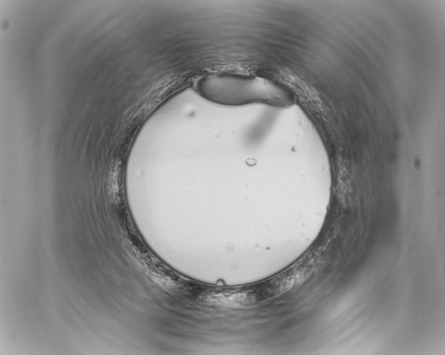 X0000057060065200510071417