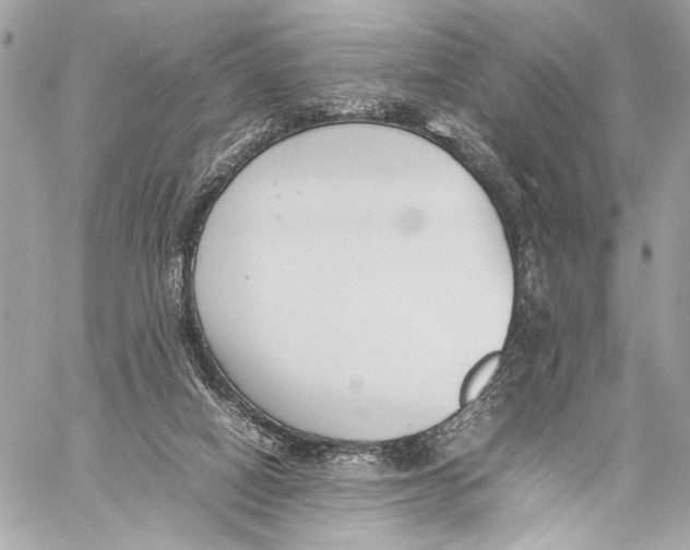 X0000057060066200510071417