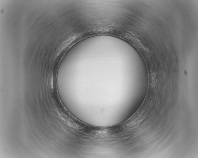 X0000057060068200510071417