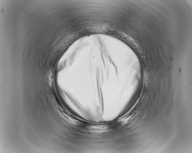 X0000057060069200510071417