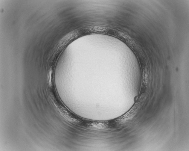 X0000057060070200510071417