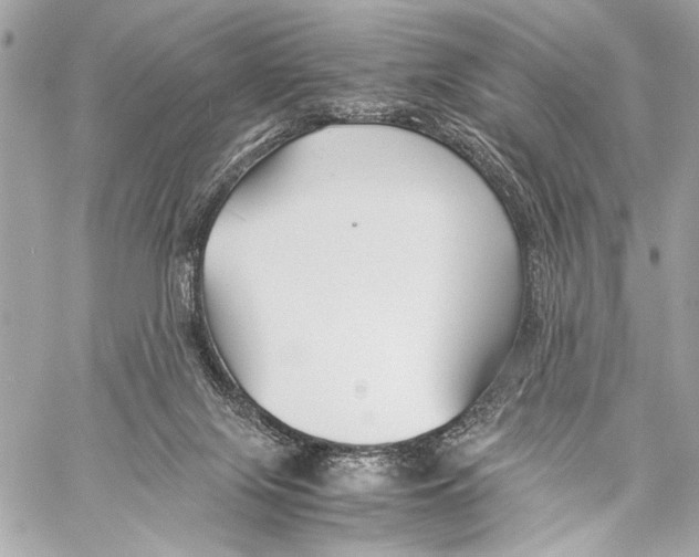 X0000057060071200510071417