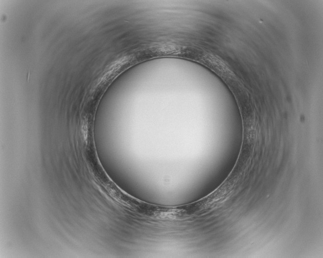 X0000057060072200510071417