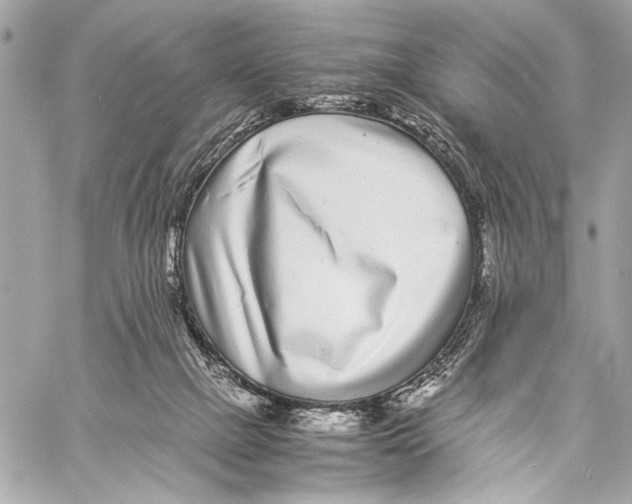 X0000057060073200510071417