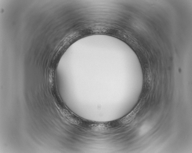 X0000057060074200510071417