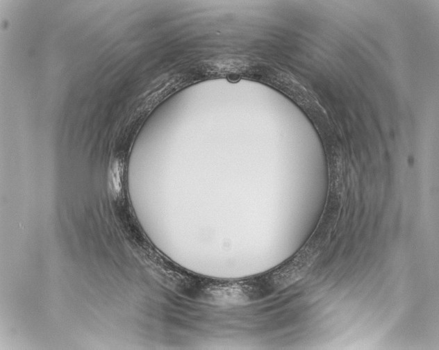 X0000057060075200510071417