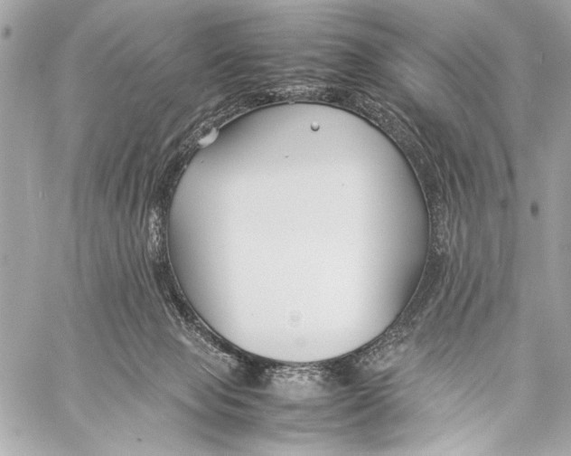 X0000057060077200510071417