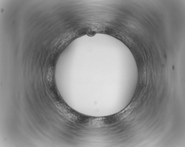 X0000057060078200510071417