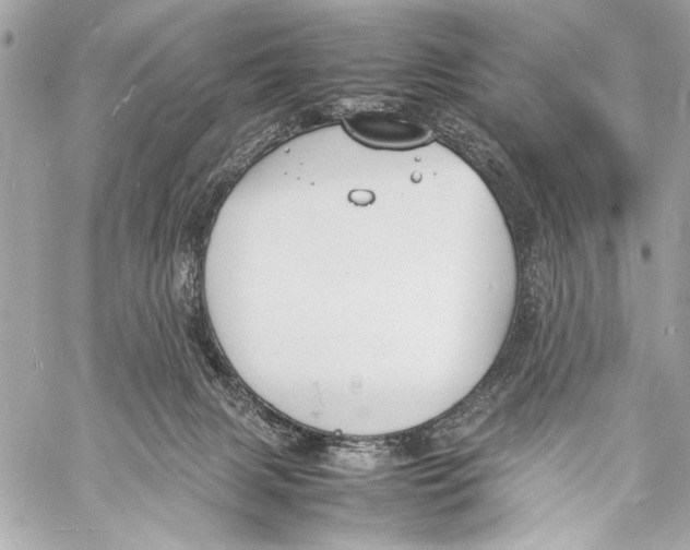 X0000057060079200510071417