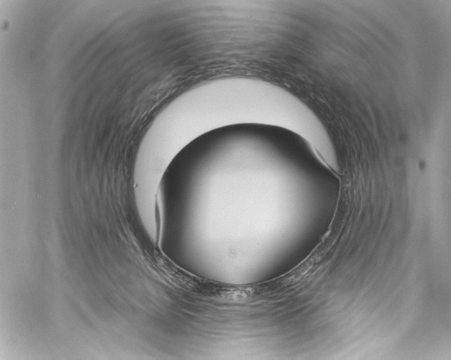 X0000057060080200510071417