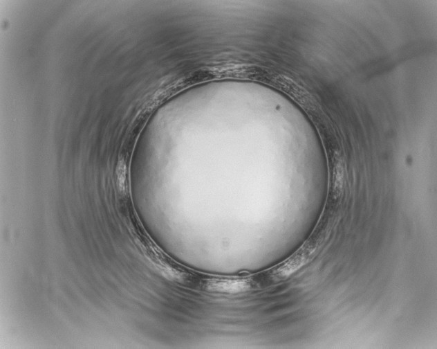 X0000057060081200510071417