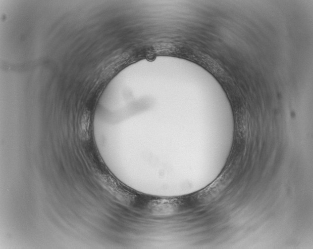 X0000057060082200510071417