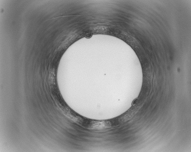 X0000057060083200510071417