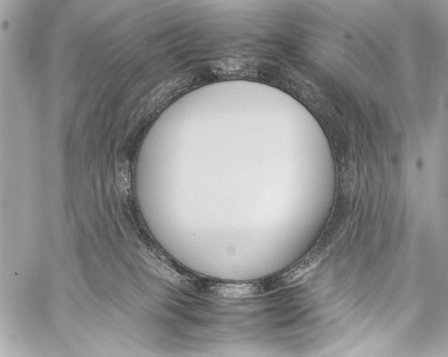 X0000057060085200510071417