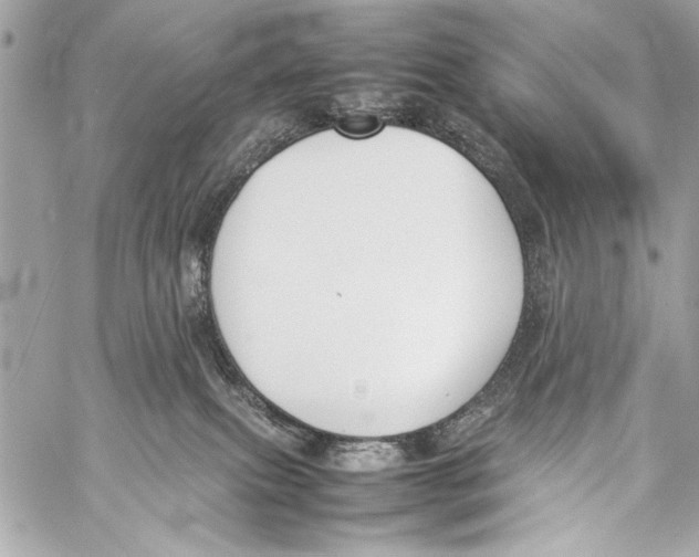 X0000057060087200510071418