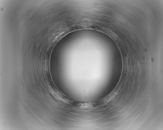 X0000057060088200510071418