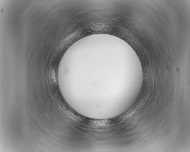 X0000057060089200510071418