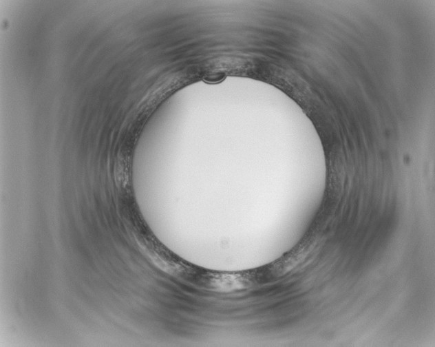 X0000057060091200510071418