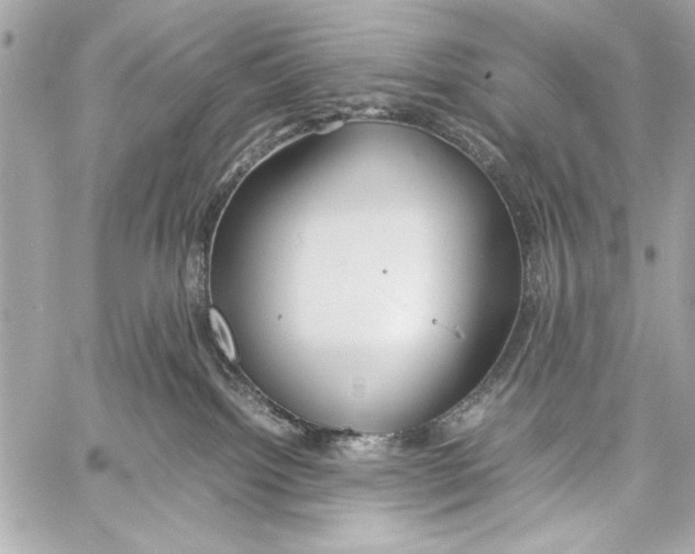 X0000057060092200510071418