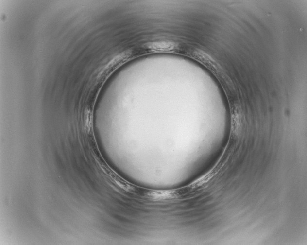 X0000057060093200510071418