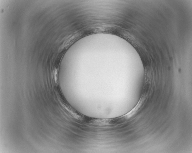 X0000057060094200510071418