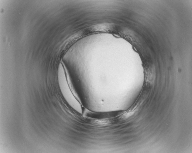 X0000057060095200510071418