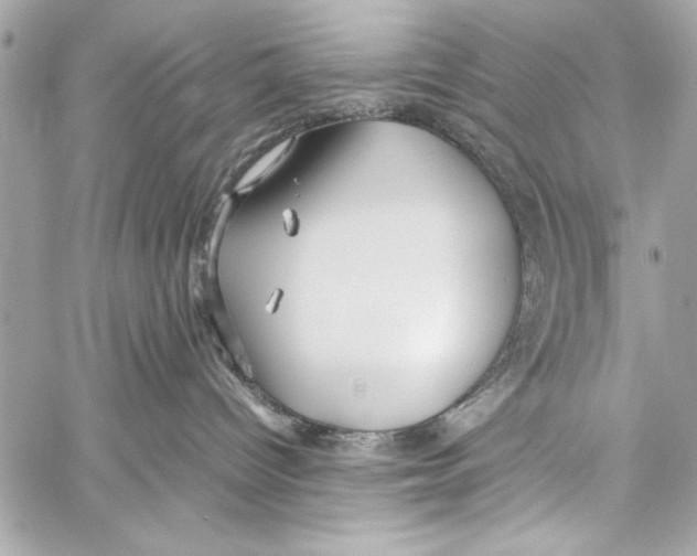 X0000057060096200510071418