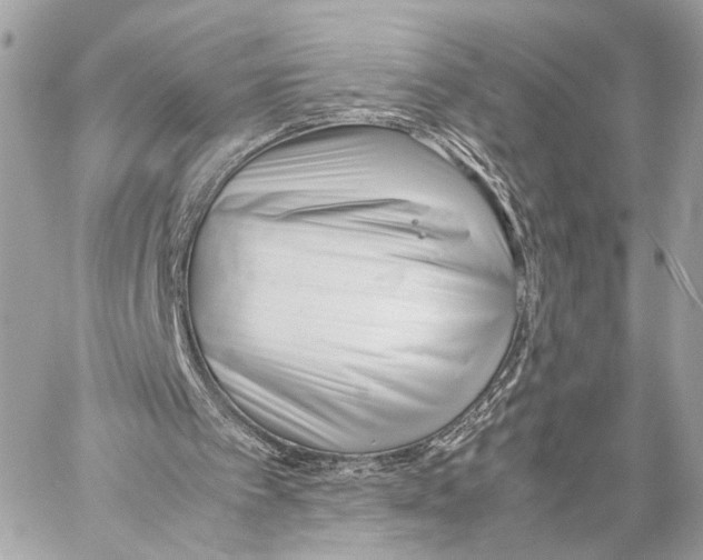 X0000057060097200510071417