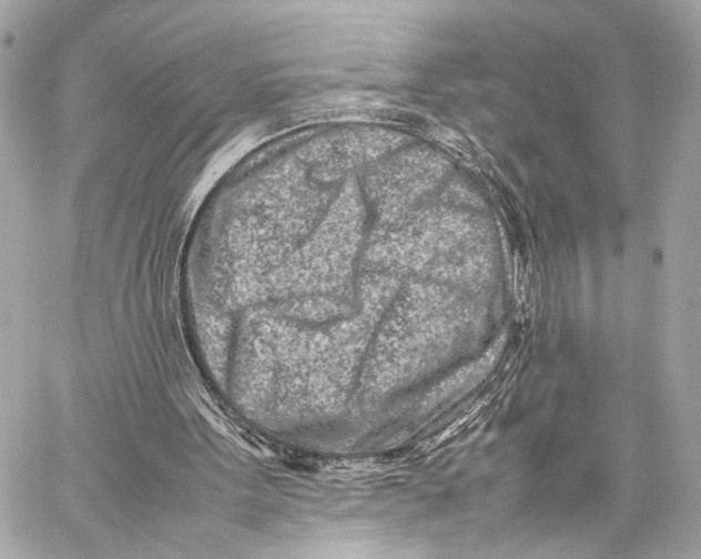 X0000057060099200510071417