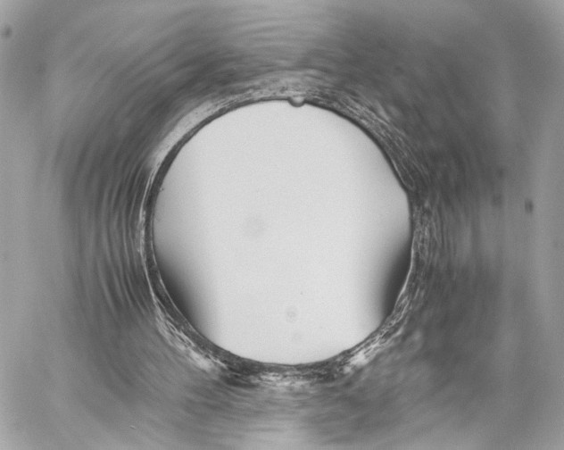 X0000057060100200510071417