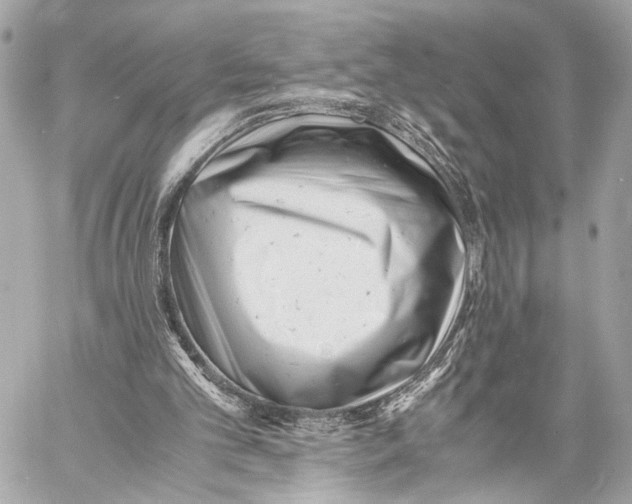 X0000057060101200510071417